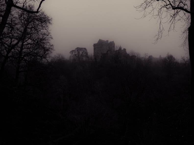 20130111 DSC 4871 1000