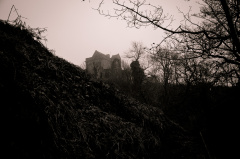 20130111 DSC 4875 1000