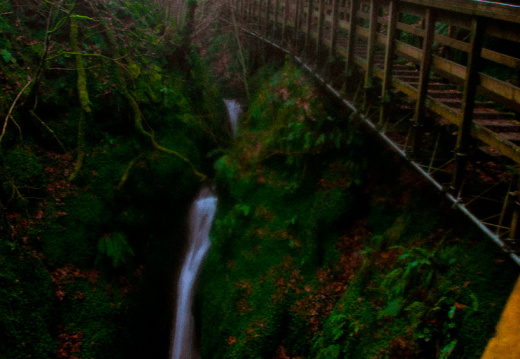 20130111 DSC 4879 1000