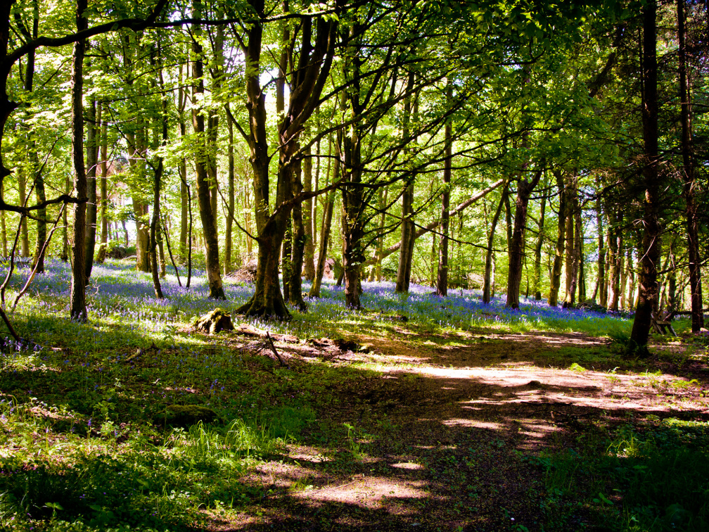 20130602 DSC 5860 1000