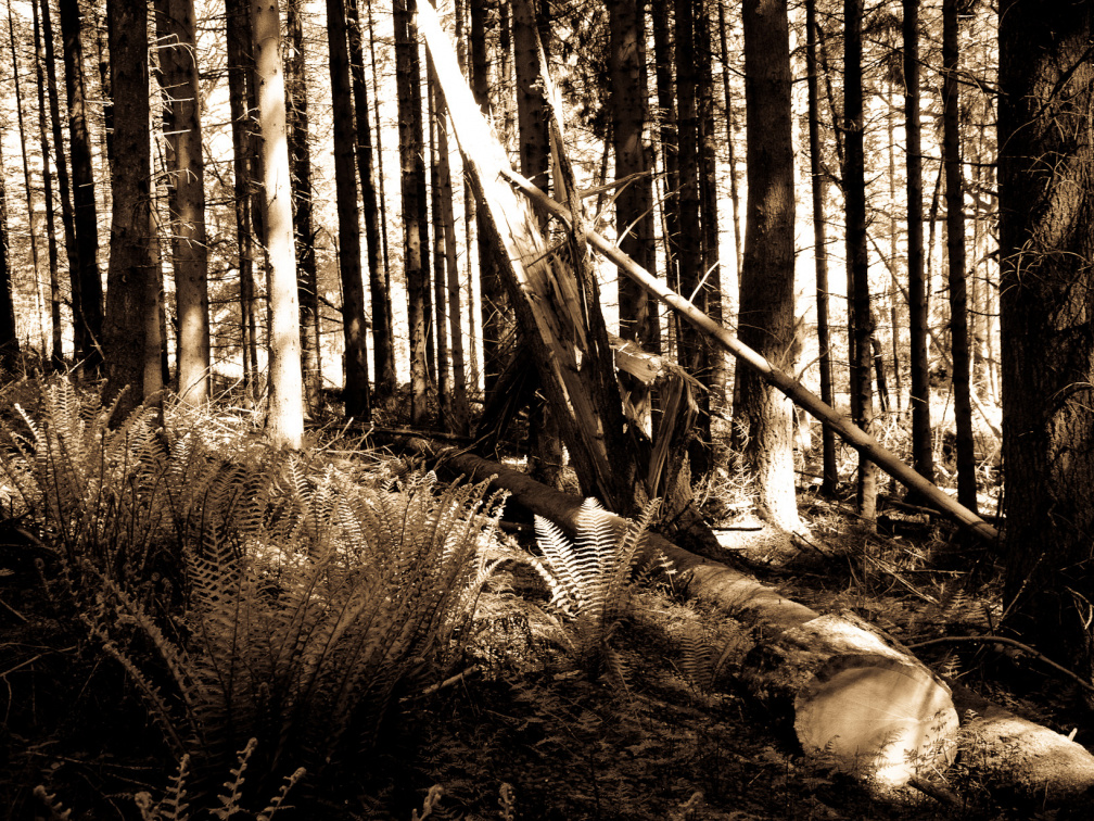 20130602 DSC 5876 1000