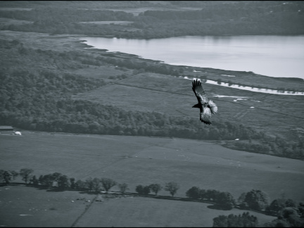 20130602 DSC 5907 1000