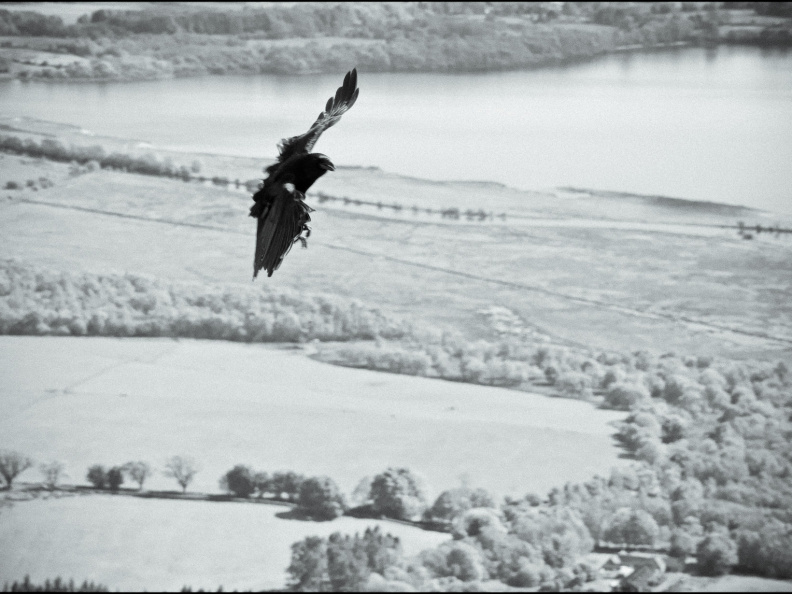 20130602 DSC 5914 1000