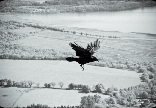 20130602 DSC 5915 1000