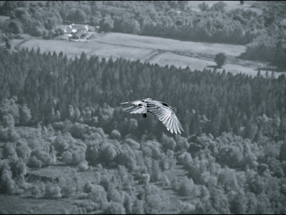 20130602 DSC 5918 1000