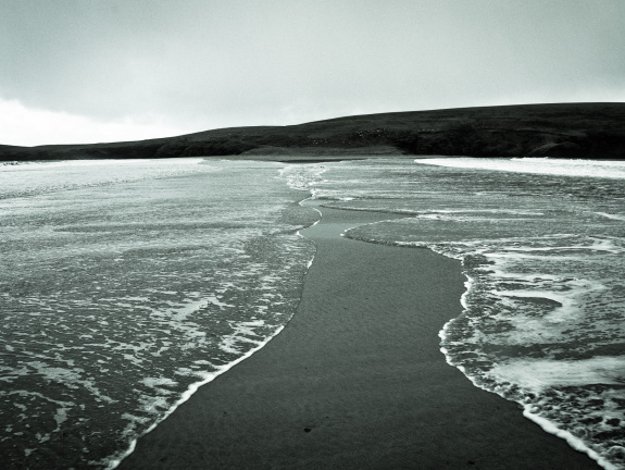 20150126 DSC 1791 1000