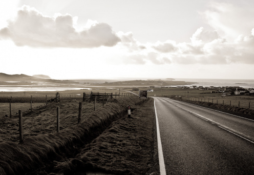 20150126 DSC 1806 1000