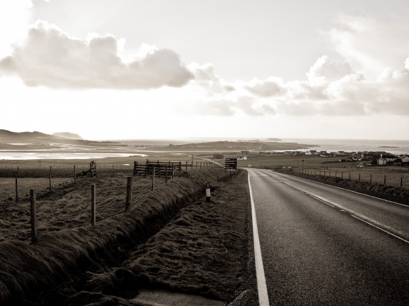 20150126 DSC 1806 1000