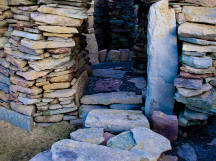 20150126 DSC 1837 1000