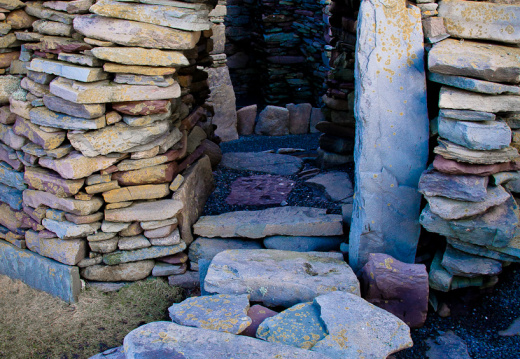 20150126 DSC 1837 1000