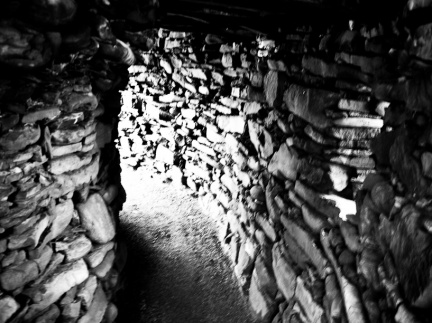 20150126 DSC 1839 1000