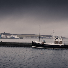 20150127 DSC 1853 1000