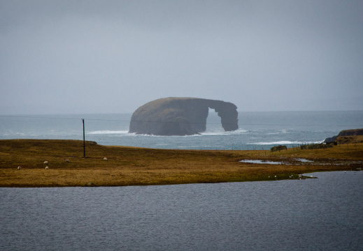 20150128 DSC 2022 1000