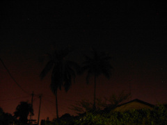 PA050095