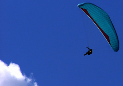 paraglider