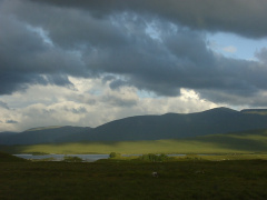 p7190089