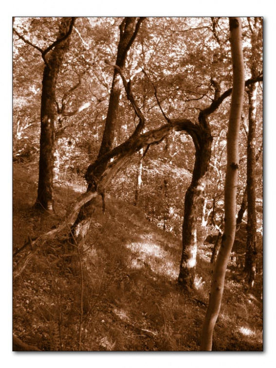 p5271380 copy
