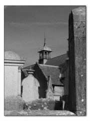 p6210123 copy
