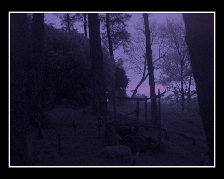 pa220757 copy