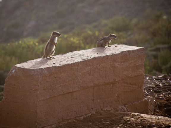 20110816 DSC 3410 1000