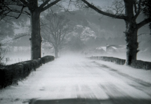 OM30 fp4 tamron 70-150ad2 solGstand 018