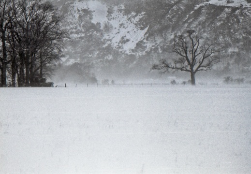 OM30 fp4 tamron 70-150ad2 solGstand 023