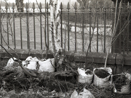 AE1 fp4 oldHC110 stand 002