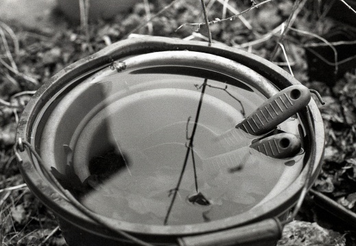 AE1 fp4 oldHC110 stand rescan 006