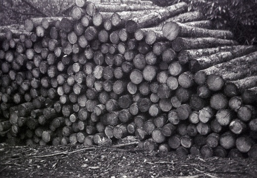 halina pet hp5 hc110 semistand 001