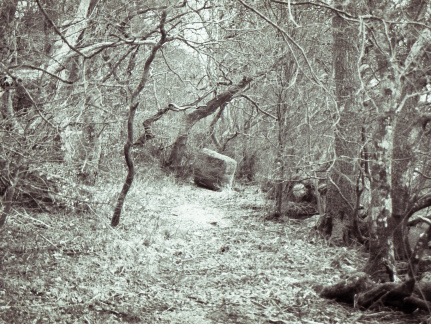 om20 foma100 hc110F002