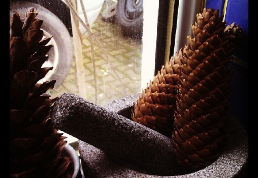 517615c20d69ed5b535fabdd6f194bed