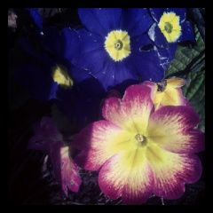 b10928552a72fa5dcd47f63780054e1a