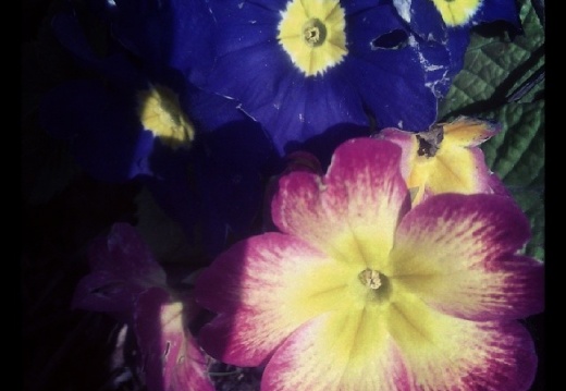 b10928552a72fa5dcd47f63780054e1a