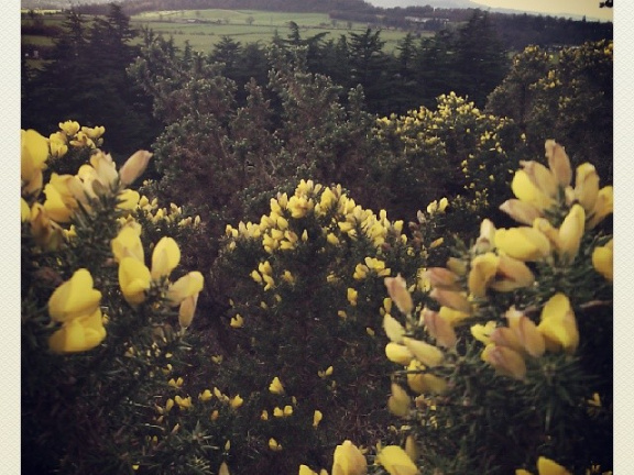 c5f995353dab7ff22c65947a747f817a