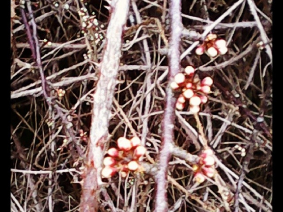 d5ecaaf90ee1b8d30c3b501f1088f946