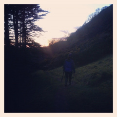 d0144738244bb41fb4692a0052ec4390