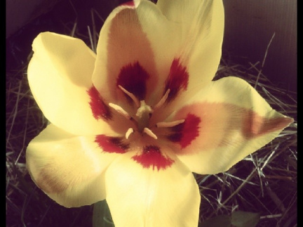 e62306ba86acba659ea48ccbf0085f72