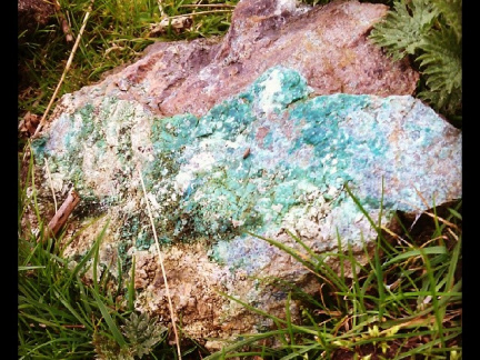 f8e427ce9ffa8d138f0598794f646a16