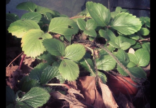 42b6324f1241e23047d741ce9746f671