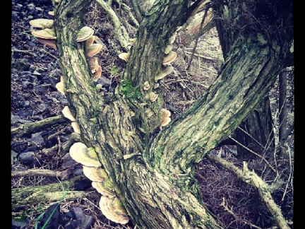 50e713b78794a38f464ea4e965f03d06