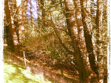 82bfeeb3c0260abafacf22db26cb9d60