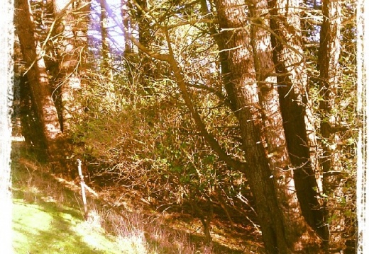 82bfeeb3c0260abafacf22db26cb9d60