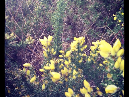 99e6512d8a33fc47dd67b98ed64e76f8