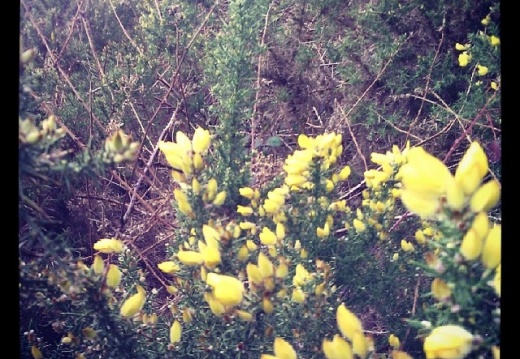 99e6512d8a33fc47dd67b98ed64e76f8