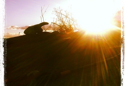 09291a848e7ab37820a6c2d8dac312a8