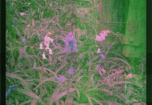 71b51ae353a7f0b09adb5f7fda3ed76e