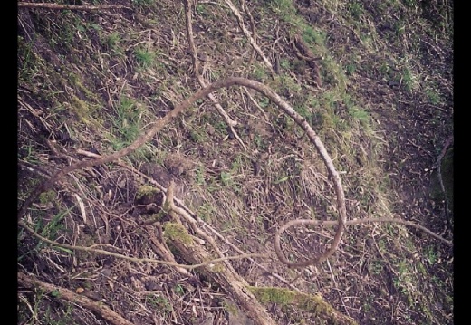 0727fce4ccde74f913a61ad047160599