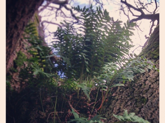 6788c9b594b630cdca052d539dc48d0b