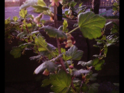 b0b3859cf563fb970367b88b2d5604fe