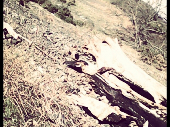 c45b1594c435ea0c09e05dd64b2d2c58